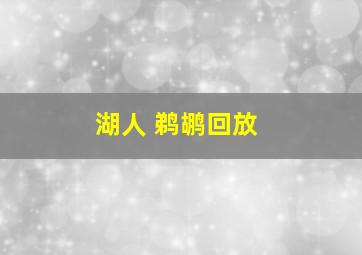 湖人 鹈鹕回放